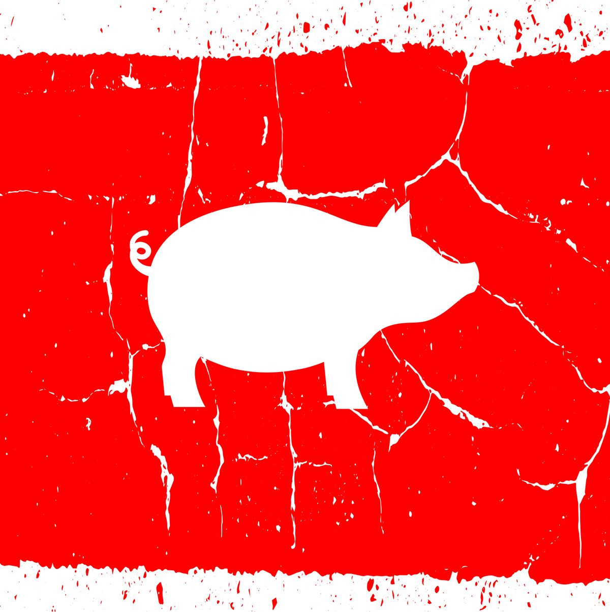 White pig on a red grunge background