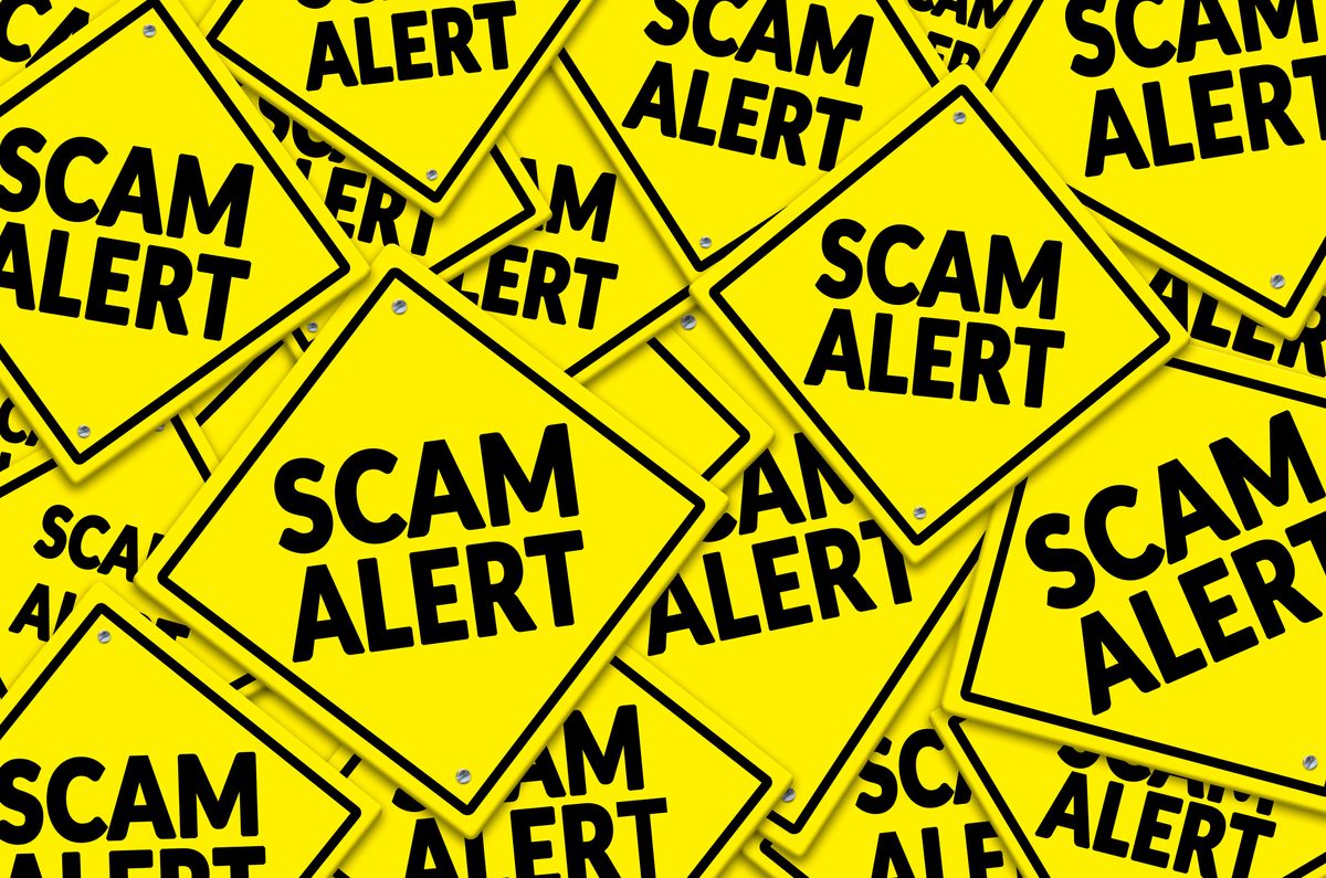 Signs reading "scam alert"